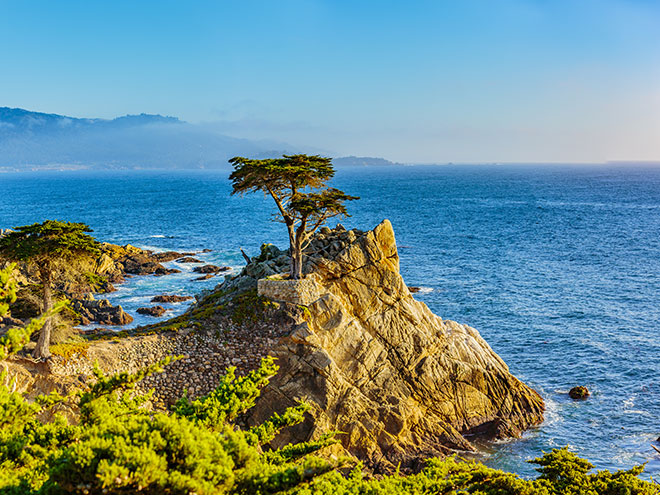 Private Tour | Los Angeles, San Francisco, Yosemite National Park, Santa Cruz Steam Train, 17-Mile Drive, Hearst Castle, Santa Monica 5-Day Tour