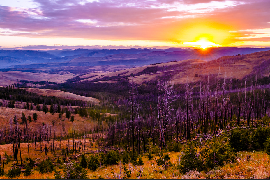 5 Day Tour of Salt Lake City, Grand Teton National Park, and Yellowstone National Park